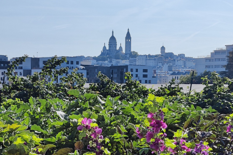 Plantation mêle DJ sets, potager urbain et cuisine de saison dans le 18e